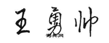 駱恆光王勇帥行書個性簽名怎么寫