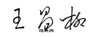 駱恆光王昌柳草書個性簽名怎么寫