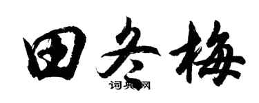 胡問遂田冬梅行書個性簽名怎么寫