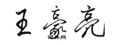 駱恆光王豪亮行書個性簽名怎么寫