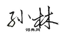 駱恆光孫林行書個性簽名怎么寫