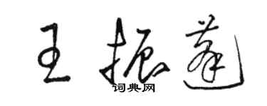 駱恆光王振蓬草書個性簽名怎么寫