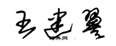 朱錫榮王建翼草書個性簽名怎么寫