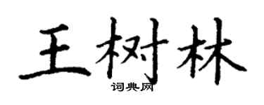 丁謙王樹林楷書個性簽名怎么寫