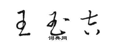 駱恆光王玉吉草書個性簽名怎么寫