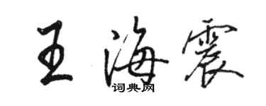 駱恆光王海震行書個性簽名怎么寫