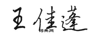 駱恆光王佳蓬行書個性簽名怎么寫