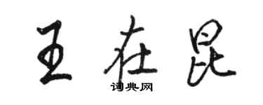 駱恆光王在昆行書個性簽名怎么寫