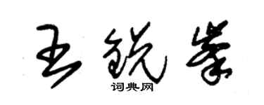 朱錫榮王銳峰草書個性簽名怎么寫