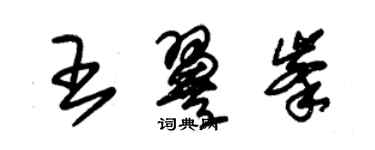 朱錫榮王翼峰草書個性簽名怎么寫
