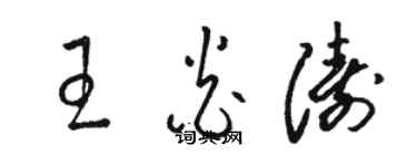 駱恆光王炎濤草書個性簽名怎么寫