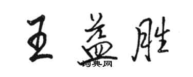 駱恆光王益勝行書個性簽名怎么寫