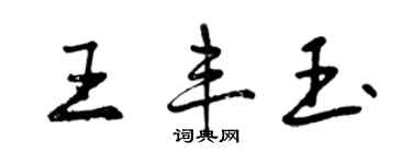 曾慶福王豐玉行書個性簽名怎么寫