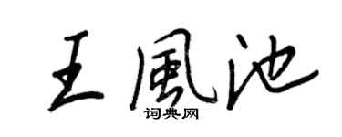 王正良王風池行書個性簽名怎么寫