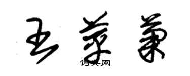 朱錫榮王苹菊草書個性簽名怎么寫