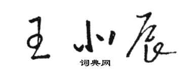 駱恆光王北辰草書個性簽名怎么寫