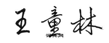 駱恆光王童林行書個性簽名怎么寫