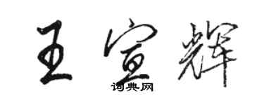 駱恆光王宣輝行書個性簽名怎么寫