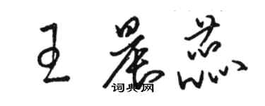 駱恆光王晨蕊草書個性簽名怎么寫