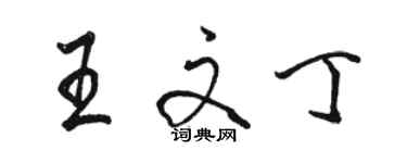 駱恆光王文丁行書個性簽名怎么寫