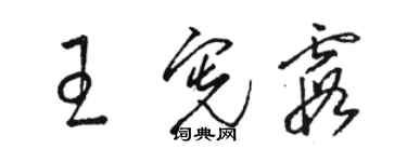 駱恆光王憲霞草書個性簽名怎么寫