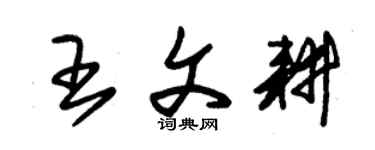 朱錫榮王文耕草書個性簽名怎么寫