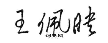 駱恆光王佩映草書個性簽名怎么寫