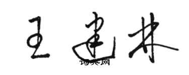 駱恆光王建林草書個性簽名怎么寫