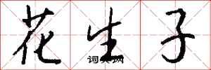 錢沛雲花生子行書怎么寫