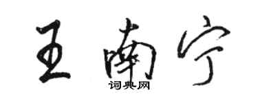 駱恆光王南寧行書個性簽名怎么寫