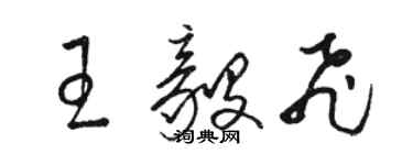 駱恆光王毅飛草書個性簽名怎么寫