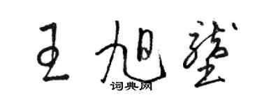 駱恆光王旭壟草書個性簽名怎么寫