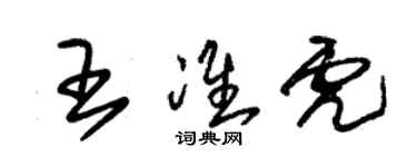 朱錫榮王準虎草書個性簽名怎么寫