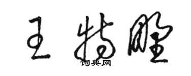 駱恆光王特野草書個性簽名怎么寫