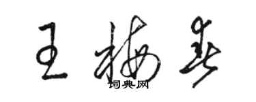 駱恆光王梅春草書個性簽名怎么寫