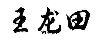 胡問遂王龍田行書個性簽名怎么寫