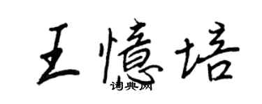 王正良王憶培行書個性簽名怎么寫