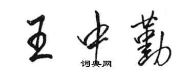 駱恆光王中勤行書個性簽名怎么寫