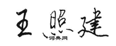 駱恆光王照建行書個性簽名怎么寫