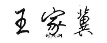 駱恆光王家冀行書個性簽名怎么寫