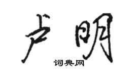 駱恆光盧明行書個性簽名怎么寫
