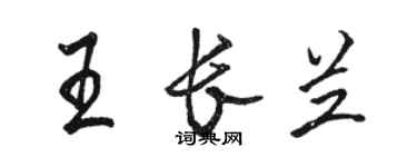 駱恆光王長蘭行書個性簽名怎么寫