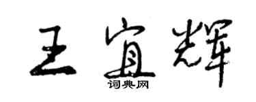 曾慶福王宜輝行書個性簽名怎么寫