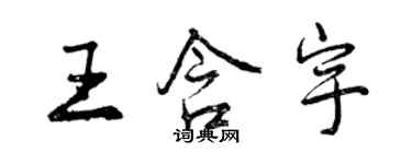 曾慶福王含宇行書個性簽名怎么寫