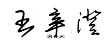 朱錫榮王辛澄草書個性簽名怎么寫