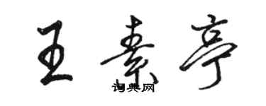 駱恆光王素亭行書個性簽名怎么寫