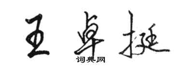 駱恆光王卓挺行書個性簽名怎么寫