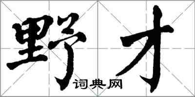 翁闓運野才楷書怎么寫