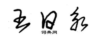 朱錫榮王日永草書個性簽名怎么寫