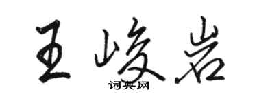 駱恆光王峻岩行書個性簽名怎么寫